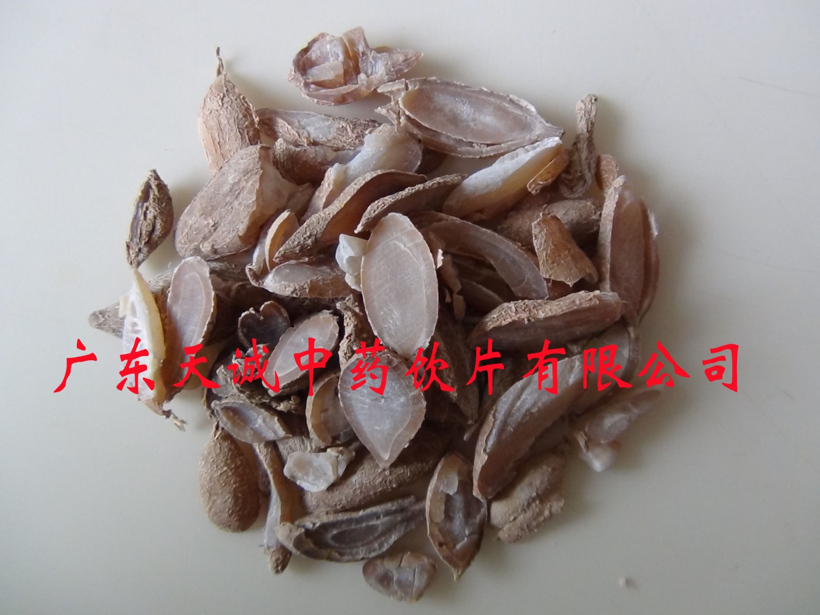 产品名称： 郁金图1