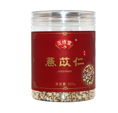 薏苡仁图1