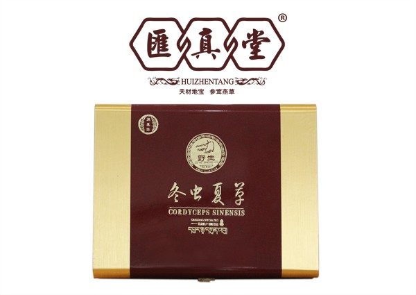 冬虫夏草图2