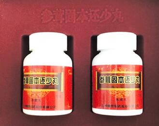 参茸固本还少丸图2