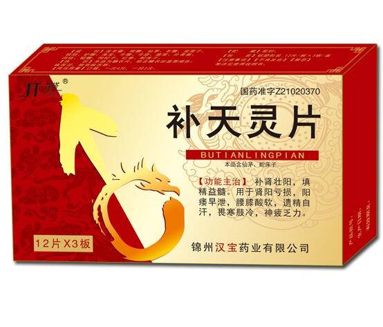 补天灵片图1