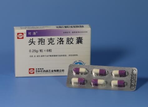 头孢克洛胶囊（可洛）图1