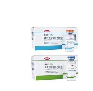 复仙安®-注射用盐酸头孢替安图1