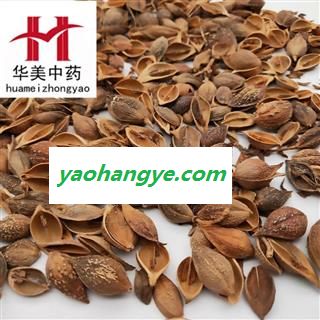 黄连翘 老翘（黄翘）统货 产地 山西省 至臻华美 至臻品质图1