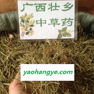 广西壮乡中草药 野生 正品 含量高 伸筋草 马尾伸筋草 产地 广西柳州市三江侗族自治县图1