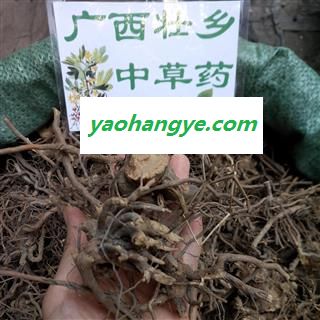 广西壮乡中草药 野生 全根 三月泡 茅莓根 红梅消 三月泡根 蛇泡筋 产地 广西柳州图1