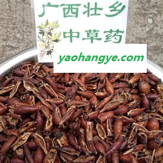 广西壮乡中草药 野生 含量高 金樱子肉 金樱肉 产地 广西柳州图1
