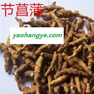 灵吉药业   九节菖蒲  节菖蒲  菊形双瓶梅   太原菖  京菖蒲  陕西菖  节菖蒲  小菖蒲 优质正品 地道药材 货真价实   批发各种规格中药材 花茶 矿石  野生冷背中药材图1