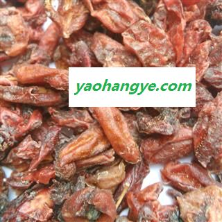 山茱萸 山茱萸统 产地 山西省图1