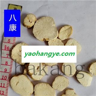 天花粉 01片 产地 河北省保定市安国市图1