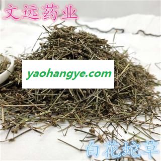 白花蛇舌草 统装 正品 白花蛇草 产地 江西省图1