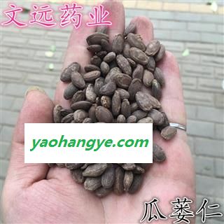 瓜蒌仁 单边瓜蒌子选货 产地 河南省图1
