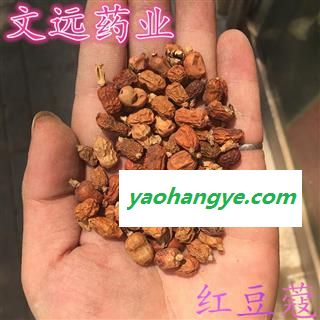 红豆蔻  红豆蔻 优质 大良姜 山姜  红蔻 产地 广西壮族自治区图1