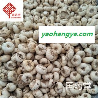 平贝母 贝母 无硫纯干货 国药堂 专注品质 新货 产地 浙江省图1