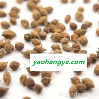 龙眼肉 益智统货 产地 海南省图1