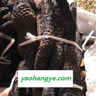 肉苁蓉1000克促销批发价 选装软大云个 产地 新疆维吾尔自治区吐鲁番地区鄯善县图1