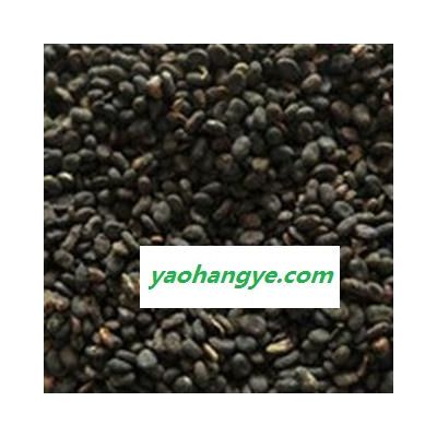 补骨脂 中药材补骨脂饱满统货 产地 河北省安国市场批发零售大全补骨脂黑故子多少钱