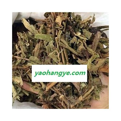 小丽百草行六耳棱 百草王 鹿耳翎 六棱菊 土防风 六耳铃