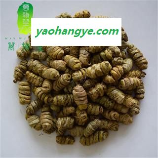 紫皮石斛 云南石斛 紫皮一级图1