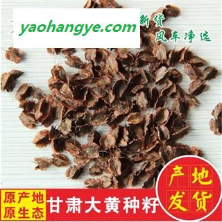 大黄 大黄种子选货新种子 产地 甘肃省陇南市宕昌县图1