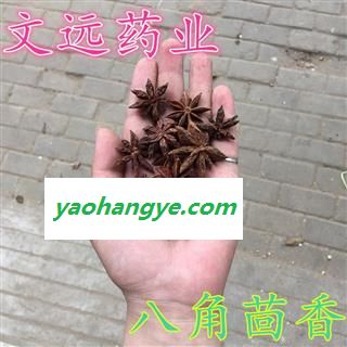 大茴香 统装 八角茴香 产地 广西壮族自治区玉林市市辖区图1