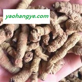 中药材巴戟天 肉 产地 广东省 中药材巴戟天多少钱  巴戟天大肉安国市场批发零售大全图1