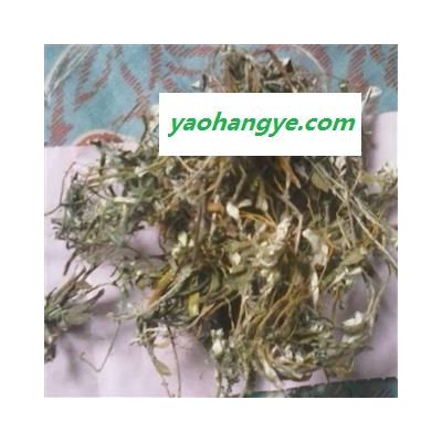 小丽百草行中药材天青地白 鼠曲草全草   细叶鼠叶草