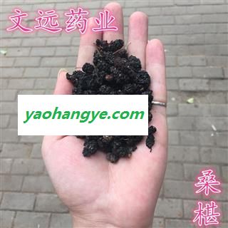 桑椹子 统装 产地 河南省新乡市卫滨区图1