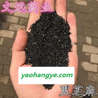 黑芝麻 统装  芝麻 产地 河南省图1