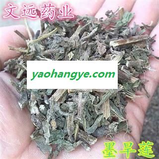 旱莲草 墨旱莲 统 墨旱莲 批发零售各种中草药 产地 河南省鹤壁市市辖区图1