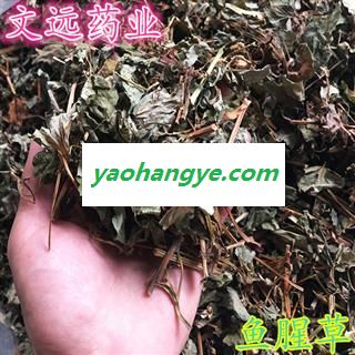 鱼腥草 野生 统装 产地 四川省图1