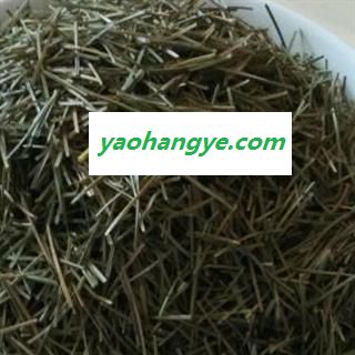 选货 马尾松针 绿色图1