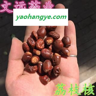 荔枝核 统装 产地 广西壮族自治区玉林市市辖区图1
