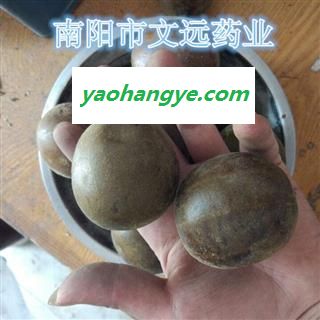 罗汉果 精选罗汉果中大个 产地 广西壮族自治区图1