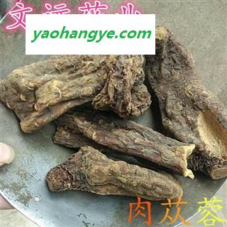 肉苁蓉 肉苁蓉大选个  大芸 选装 产地 新疆维吾尔自治区图1