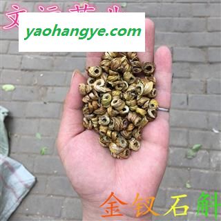 耳环石斛 选装 金钗 石斛 产地 云南省昆明市市辖区图1