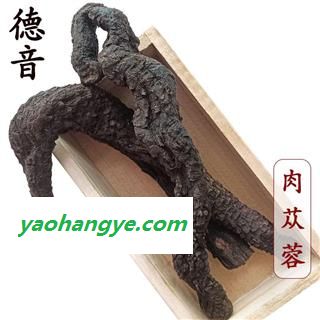 【满包邮】肉苁蓉 选 产地 新疆维吾尔自治区 买好货 选德音 正品溯源 规范标准 三证齐全 全品类药材一站购齐图1
