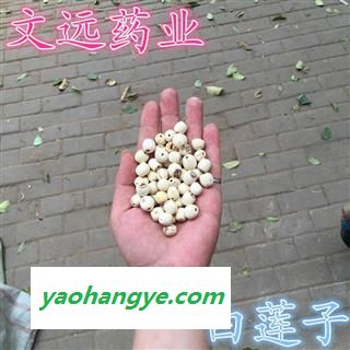 莲子 大莲子 磨砂 抽芯 产地 湖南省岳阳市市辖区图1