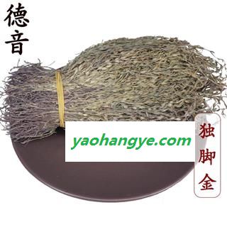 【满包邮】独脚金 统 产地广西 独角柑 疳积草 黄花草图1