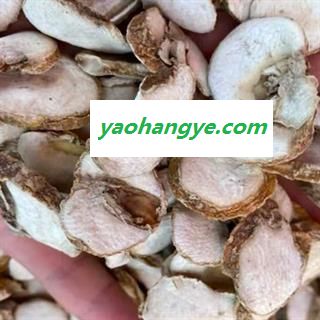 中药材贝母个 贝母片 正宗纯天然浙贝母  新货无流无添加 品质放心 安国中药材批发零售大全图1