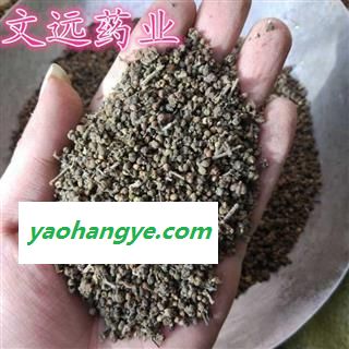 吴茱萸 吴茱萸选货 小花 产地 江西省图1