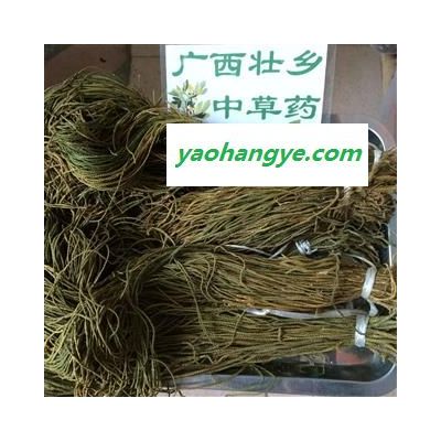 广西壮乡中草药 深山野生 正品 马尾千金草  产地 广西柳州融水苗族自治县