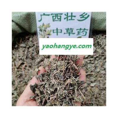 广西壮乡中草药 野生 藤茶 茅岩莓茶 岩莓茶 长寿藤 端午茶 产地 广西柳州