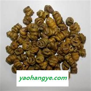 铁皮石斛口感好无渣图1