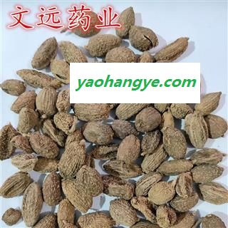 砂仁 进口壳砂仁选货 产地 海外图1