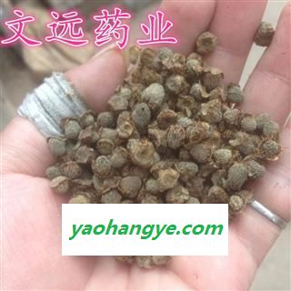 复盆子 覆盆子   产地 四川省图1