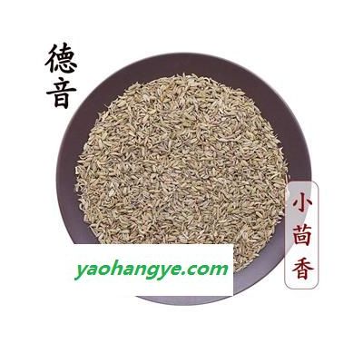 【满包邮】小茴香 统货 产地甘肃 1000g 中药材批发 规格齐全