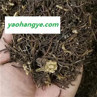中药材铁线威灵仙 别名百条根、老虎须、铁扫帚 产地辽宁 品种齐全图1