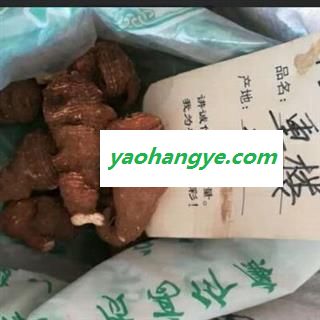 中药材重楼选货 华重楼、七叶莲、铁灯台  产地云南 安国中药材批零大全重楼多少钱图1