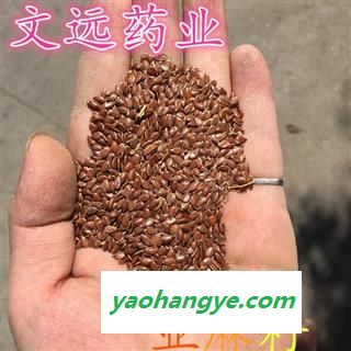 胡麻仁 选胡麻子 亚麻籽 亚麻子 胡麻仁 产地 甘肃省张掖市市辖区图1